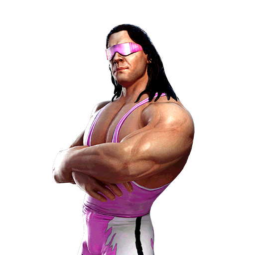 Bret Hart 'The Excellence of Execution'