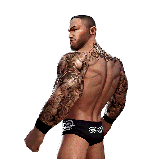 Randy Orton 'The Viper'